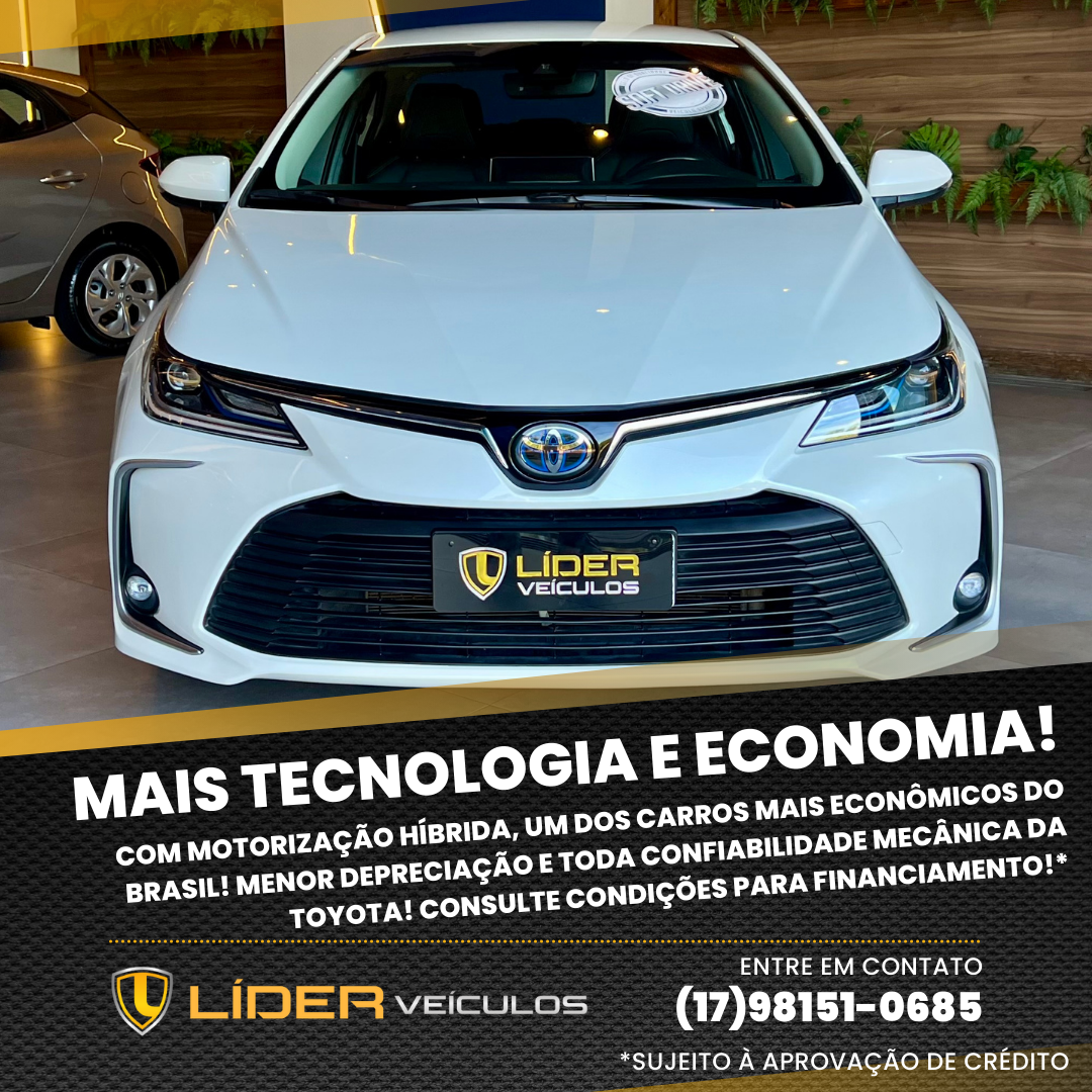 Líder Veículos